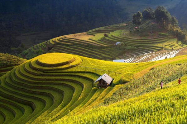 Mu Cang Chai Rice Terraces in Vietnam