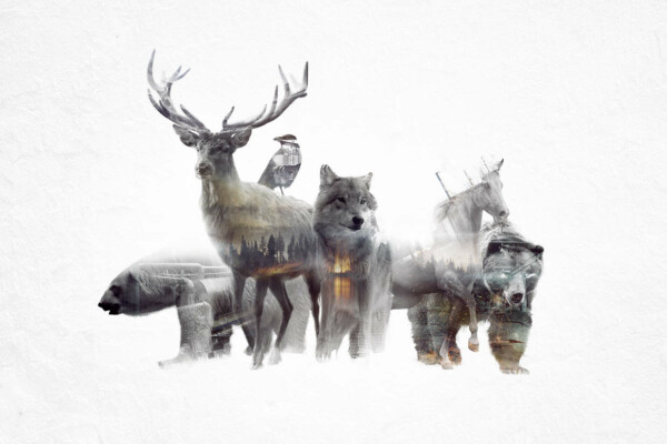 Animated Double Exposure Cinemagraph by Said Dagdeviren 13