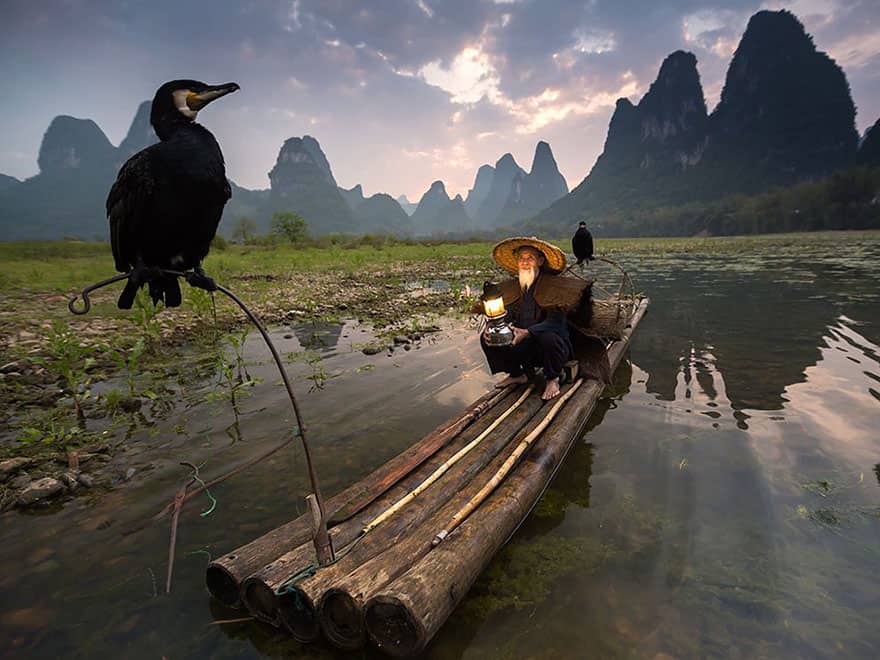 Bird Feeders, China