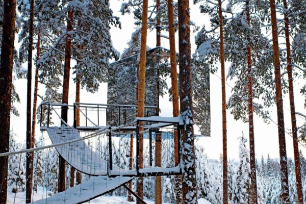 Discover the Spell of Nature at Treehotel, Sweden
