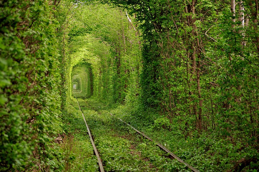 Tunnel of Love, Ukraine. The train still runs this track a couple of times a week.