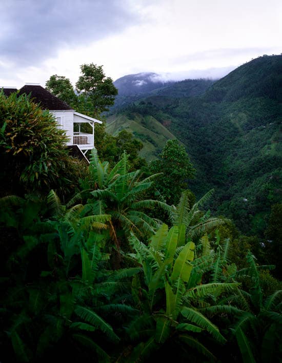 Cabin in the tropical jungle