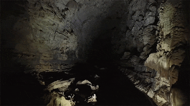 A gif from one of the world's largest active river caves on earth.