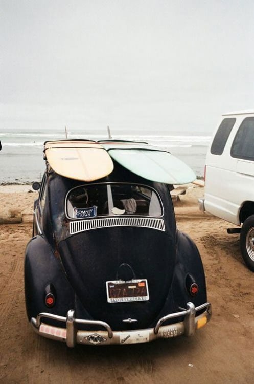surfs and the original beetle