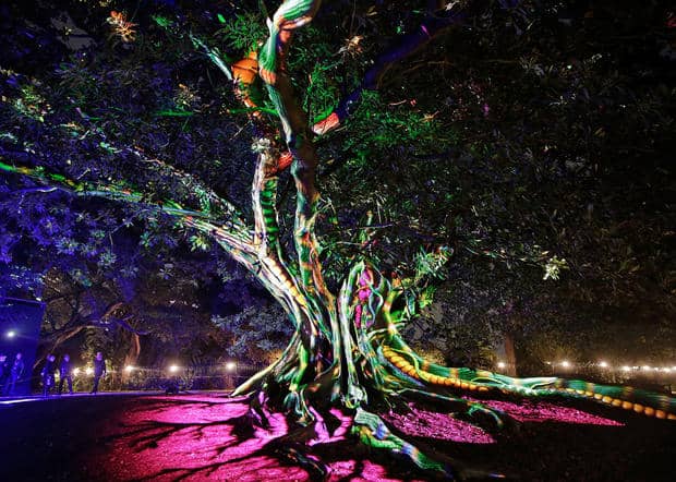 SYDNEY, AUSTRALIA - MAY 25: A tree is illuminated during the 'Garden of Light' display at The Royal Botanic Gardens on May 25, 2016 in Sydney, Australia. Held annually, Vivid Sydney is the world's largest festival of light, music and ideas. (Photo by Brendon Thorne/Getty Images)