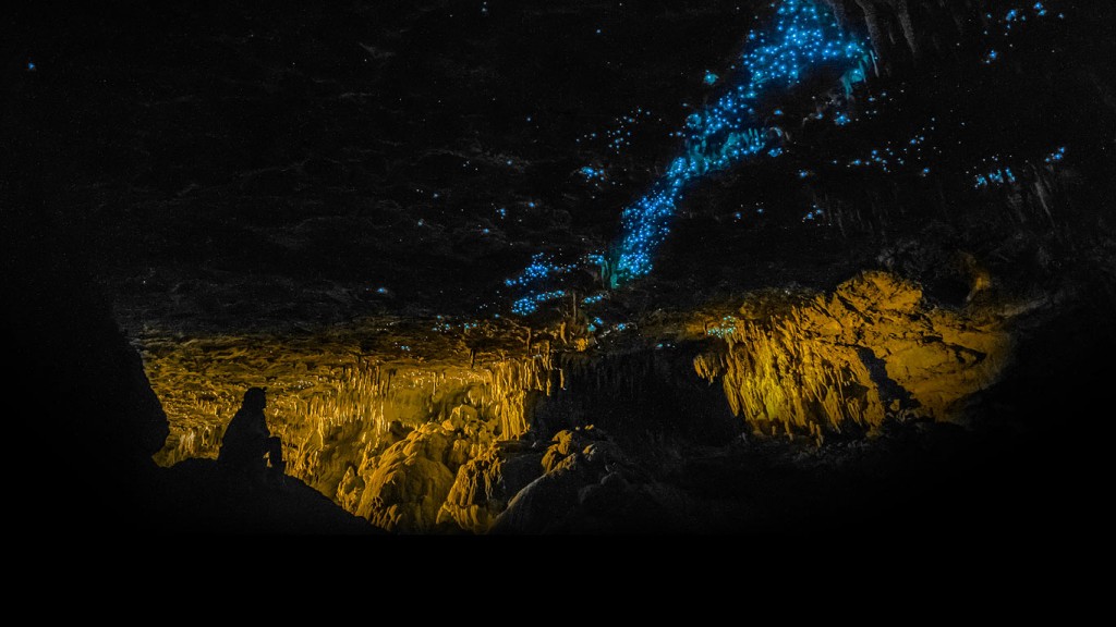 Waitomo Glowworm Caves, New Zealand (© Fabian Ebi)