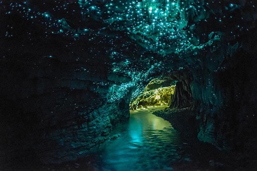 An Awesome Underground Caving & Rafting Adventure. Waitomo Glowworm Caves, New Zealand