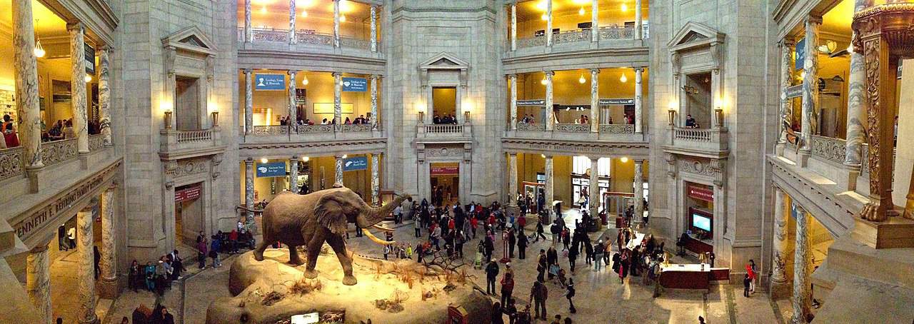 The 25 Best Museums in the US – American Museum of Natural History New York City